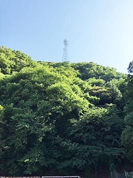 スクールコンサート in 対馬市立佐須奈小中学校