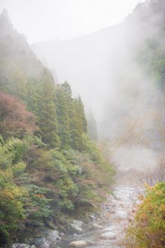 学校と地域を結ぶコンサート in 椎葉村立椎葉中学校