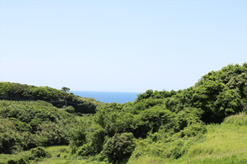 スクールコンサート in 壱岐市立三島（みしま）小学校