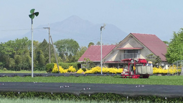 都城茶音頭 ／ 宮崎県都城市