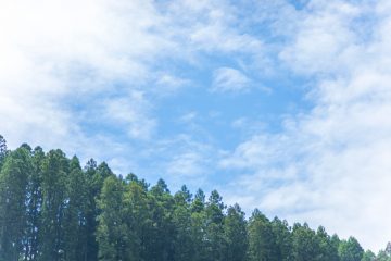 学校と地域を結ぶコンサート in 諸塚村