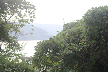 スクールコンサート in 西海市立大瀬戸小学校